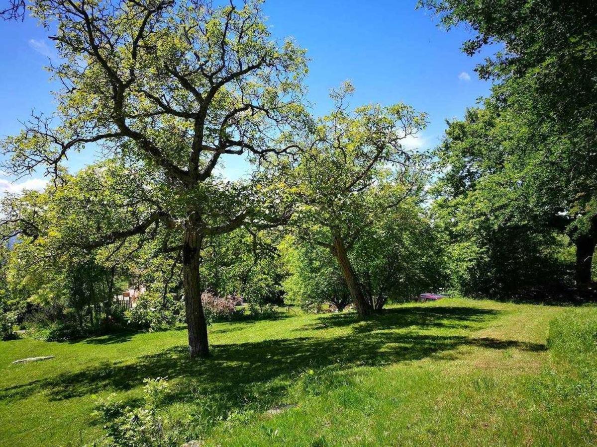 Appartamento con Vista Giardino